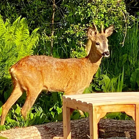 Sl317-slagelse-lyngen-1