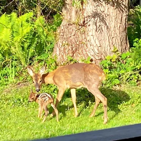 Sl317-slagelse-lyngen-1 بيت للعطل