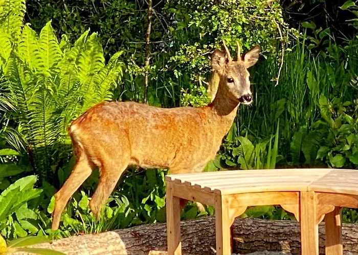 Sl317-slagelse-lyngen-1