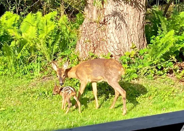 Sl317-slagelse-lyngen-1 Ferienhaus