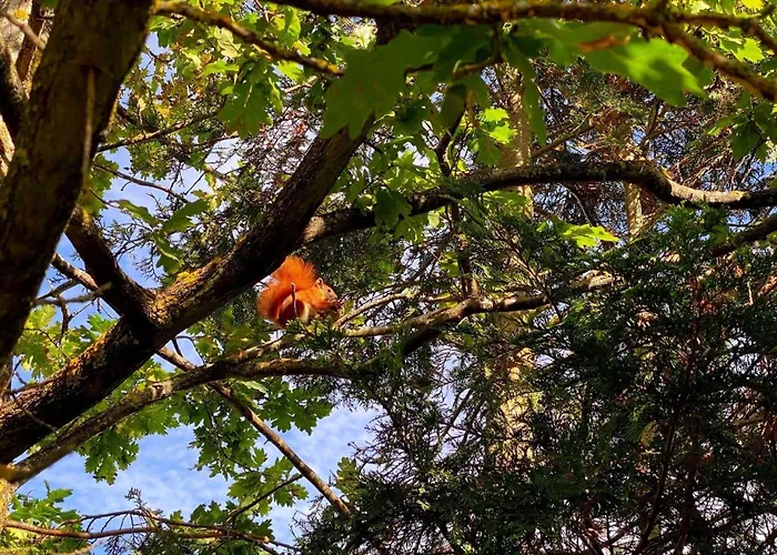 Sl317-slagelse-lyngen-1 Slagelse